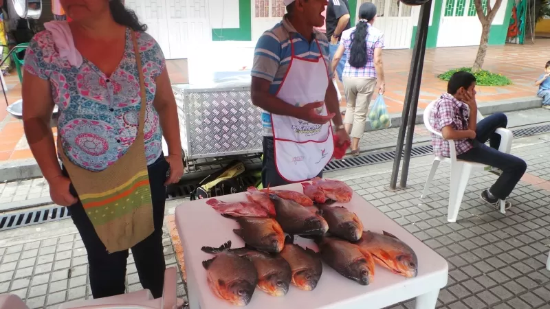 80 productores participaron del Tercer Mercado Satélite Campesino en Yopal, Casanare.